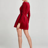 Willow™ | Velvet Mini Dress
