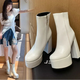 Anaïs - Stiletto Ankle Boots